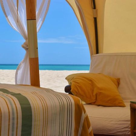 Wild Lotus Glamping Hotell Bolands Exteriör bild