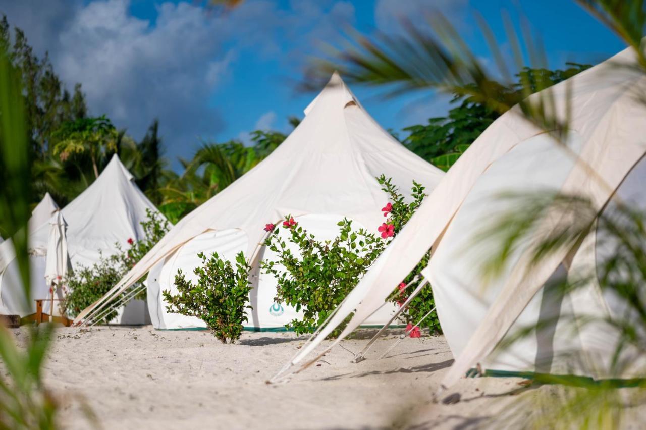 Wild Lotus Glamping Hotell Bolands Exteriör bild