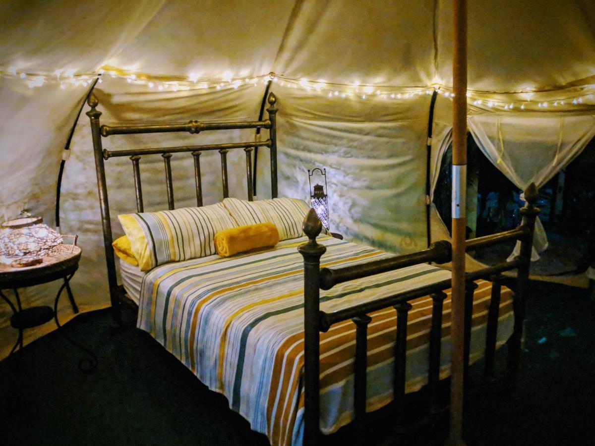 Wild Lotus Glamping Hotell Bolands Exteriör bild