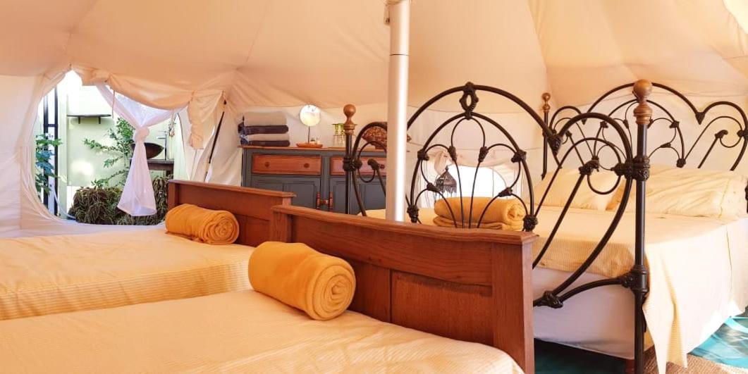 Wild Lotus Glamping Hotell Bolands Exteriör bild