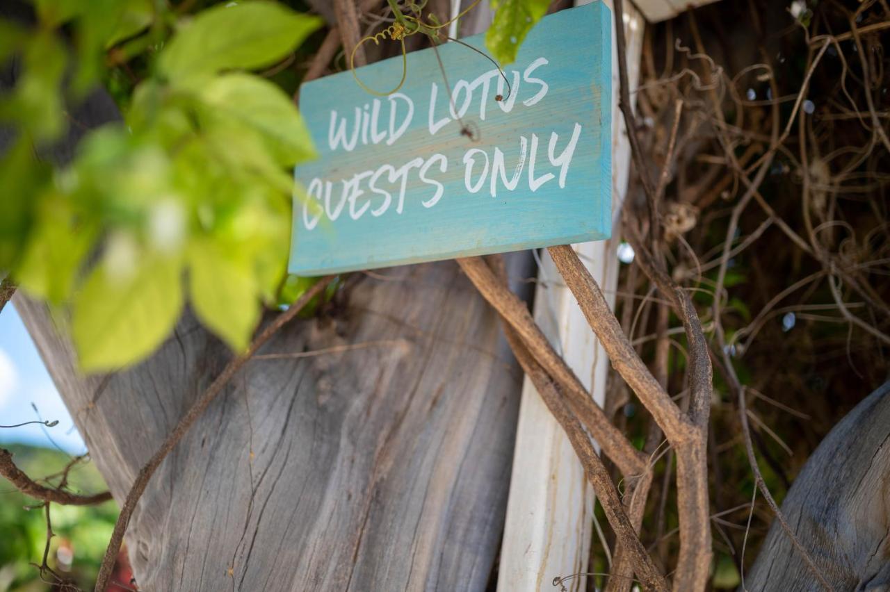 Wild Lotus Glamping Hotell Bolands Exteriör bild